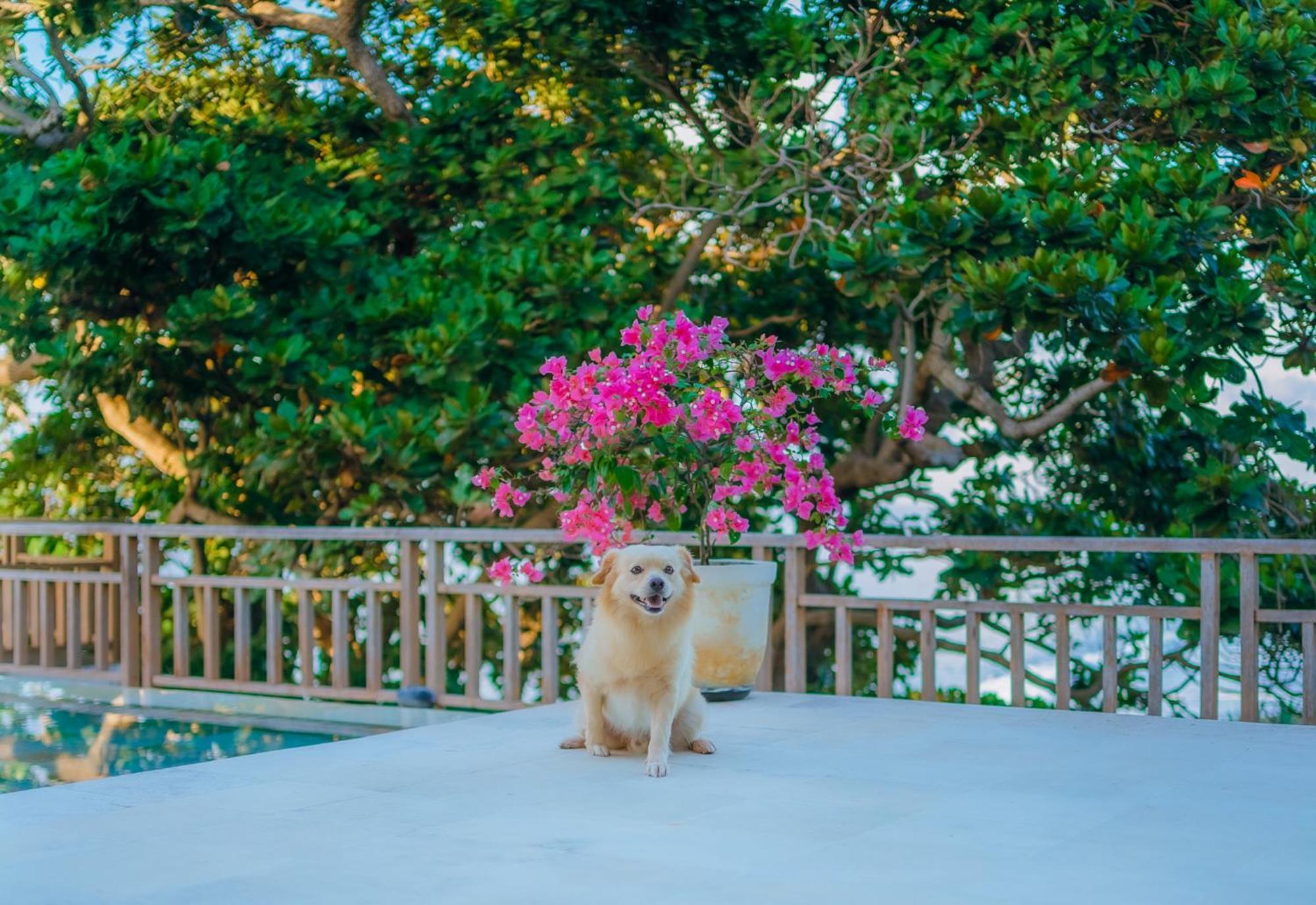 Raaga Samudra Villa Padangbai  Exteriér fotografie