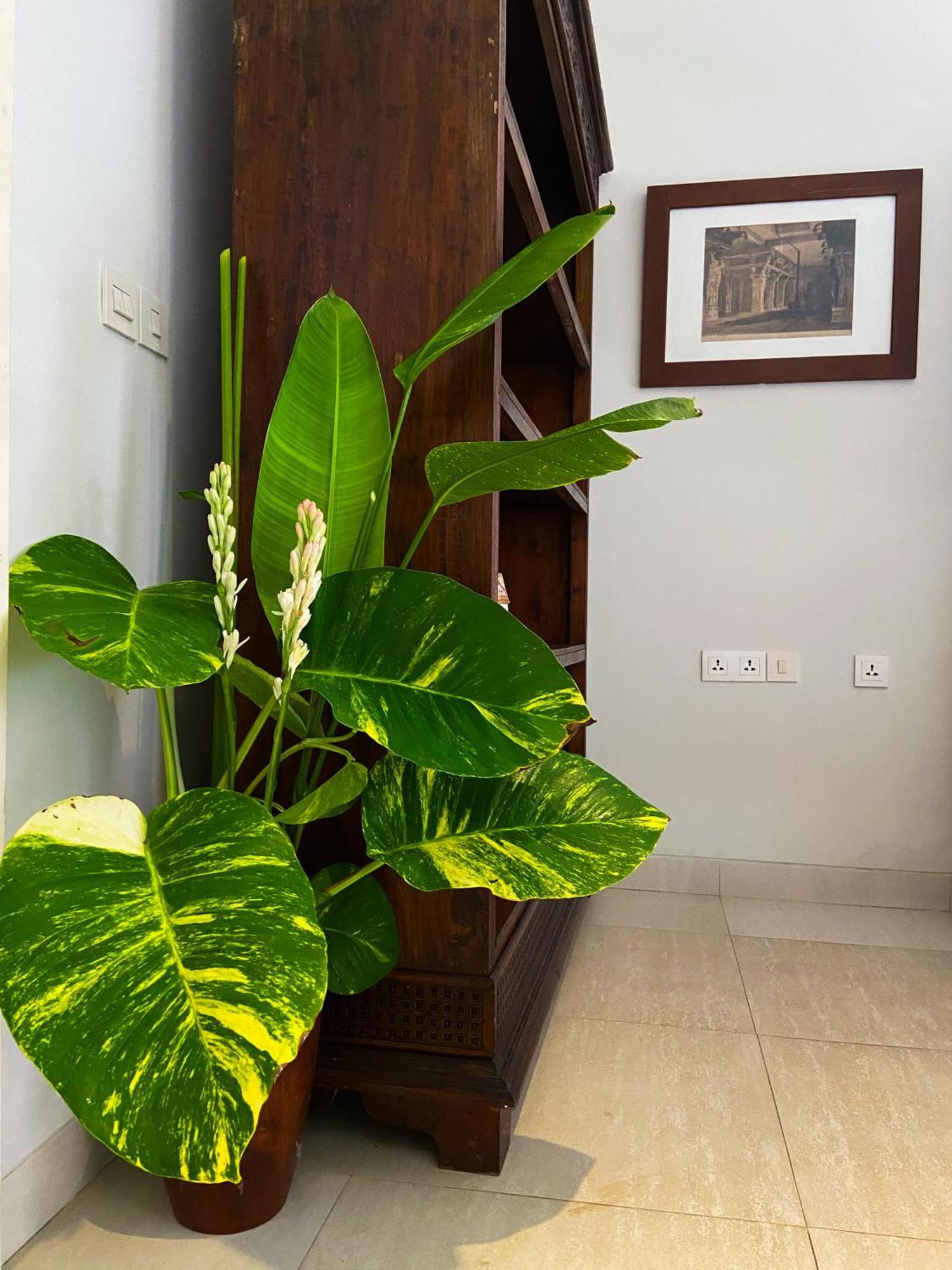 Raaga Samudra Villa Padangbai  Exteriér fotografie